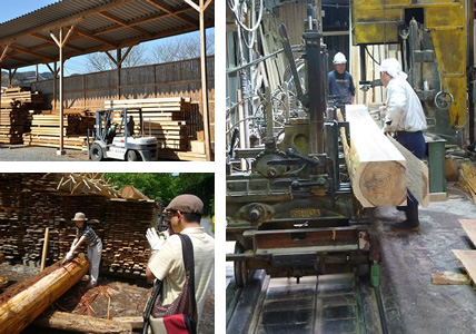 STEP4 乾燥・伐採