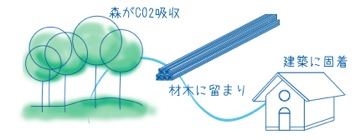 森がCO2吸収→材木に留まり→建築に固着